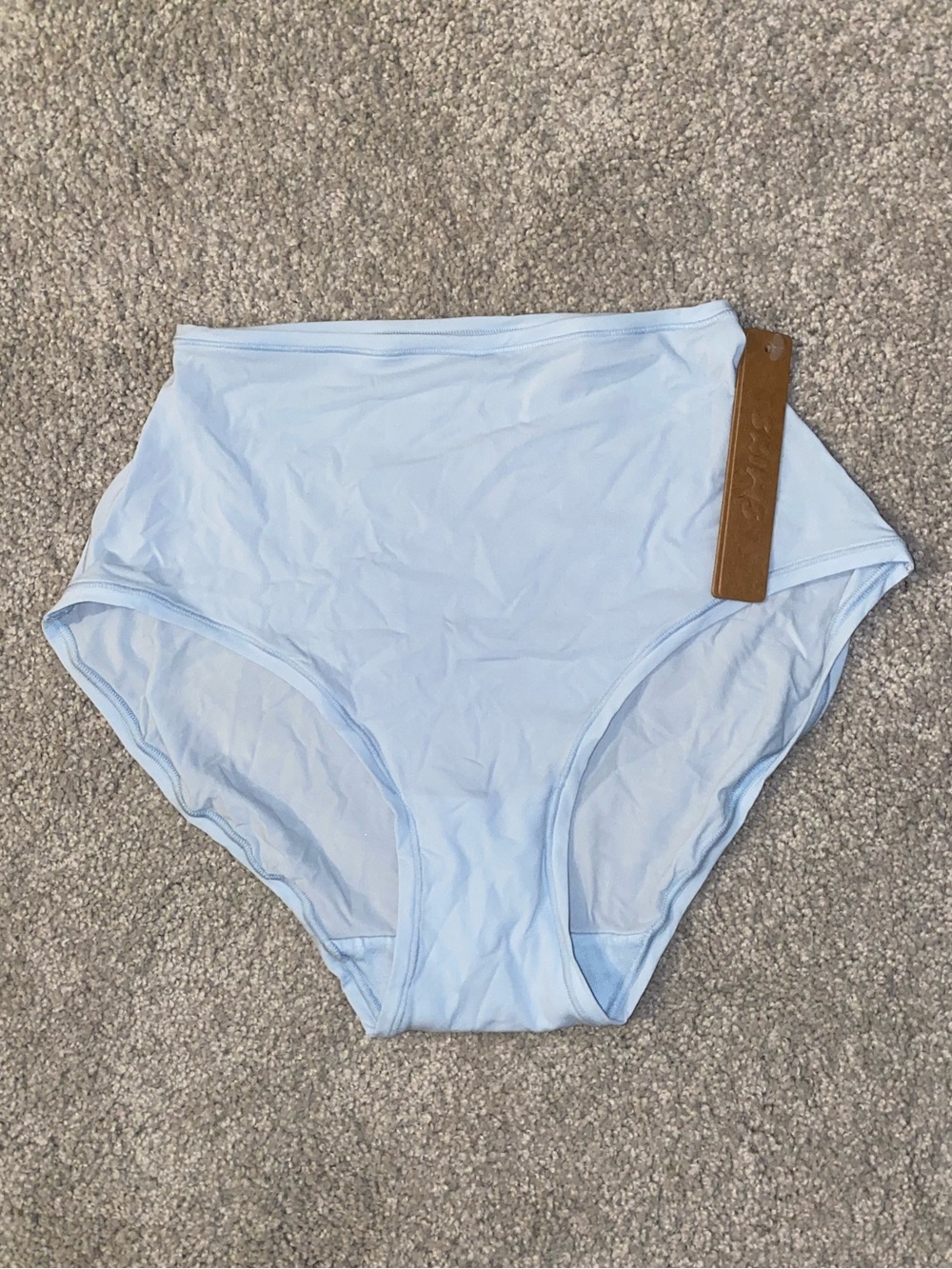 SKIMS Milky Sheer Opal Brief Panty